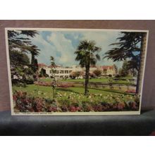 THE EAST LAWNS, BRISTOL ZOO, BRISTOL unused postcard by Harvey Barton .. 1960 =