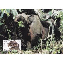 Sumatran Rhinoceros Rare Indonesia WWF Ltd Stamp FDC Postcard