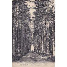 Benouville L'allee Des Pins Old French WW1 War 1916 Postcard