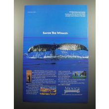1994 Mexico Tourism Advertisement - Savor the Whales