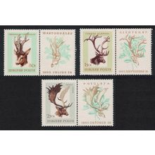 Hungary Hunting 3v with labels 1966 MNH SG#2208-2210