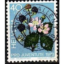 SCHWEIZ SWITZERLAND [1973] MiNr 1015 ( O/used ) Pro Juventute