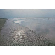 Brancaster Beach Sand Gravel Norfolk North Sea National Trust Rare Postcard
