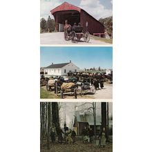 Mennonite Family Elmira Ontario 3x Postcard s