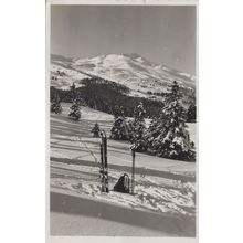 Switzerland Lenzerheide Alpine Skiing Backpack Ski Tracks Postcard