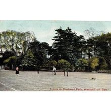 Tennis at Chalkwell Park Southend On Sea Antique Postcard