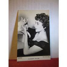 ELIZABETH TAYLOR, actress 1950s =