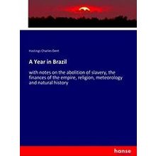 A Year in Brazil