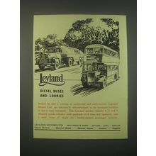 1949 Leyland Diesel buses and Lorries Ad