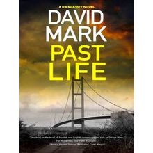 A DS McAvoy novel: Past Life