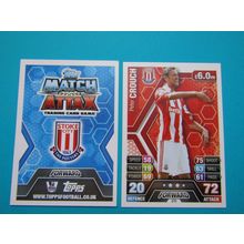 270. Peter Crouch - Stoke City - Match Attax 2013/14 Football Card EF1