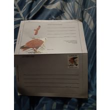 australia australian kestrel 30c lettercard mint