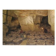 ANJOU-TOURAINE, FRANCE used postcard dated 1992 postmark =