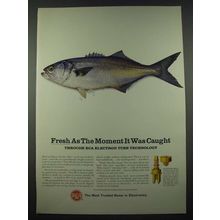 1965 RCA Electronic Components and Devices Ad - Fresh as Moment Caught