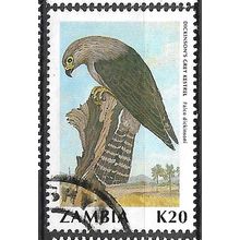 1990/1991 SG 636 - fine used (o) - BIRD