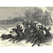 LATE LORD MAYO HOG HUNTING 1872 Horace Harral VICTORIAN ENGRAVING