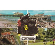 Multiview Postcard Goodluck from Eastbourne Black Cats