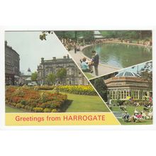 Greetings from Harrogate North Yorkshire Multiview Postcard 0134