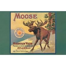 Moose Mountain View Oranges Lemons Sunkist Advertising Postcard