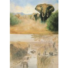 Edward Lear Lucknow Indian Elephant Victorian Painting 2x Postcard