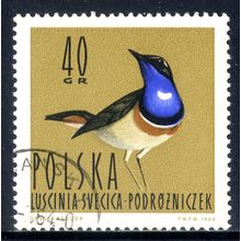 POLAND 1964, Water Birds - White-spotted Bluethroat (Luscinia sveci…), 40 G, CTO