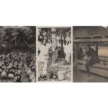 3x Rubber Tapping Indonesia Coconut Plants Old Postcard & More