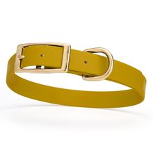 Dog Pet Collar with Brass Hardware Size M W 3/4” L 15” - 18” Treasure Gold