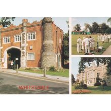 Whitstable Mixed Ladies Partners Match Bowling Green 1980s Kent Postcard