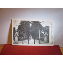 THE CATHEDRAL AVENUE, WINCHESTER, HAMPSHIRE used antique postcard 1903 pm Gale=