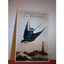 GREETINGS FROM BLACKPOOL, LANCASHIRE. used antique postcard swallow =