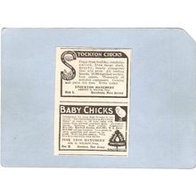 New Jersey Stockton 2 Attatched Newspaper Ads Mar 18 1922 1-Stockton Chick~3340