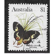 AUS 1981 $1.00 'BUTTERFLIES - SWORD GRASS BROWN' FINE USED (EBID68-026)