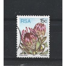 SouthAfrica.SG424 15c Protea Eximia.Fine Used.Sep25l