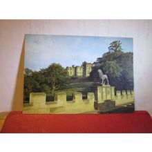 LION BRIDGE & ALNWICK CASTLE, NORTHUMBERLAND used postcard 1980 pm =