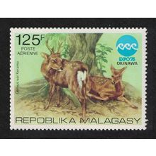 Malagasy Rep. Sika Deer Fauna Okinawa Expo 1975 MNH SG#324