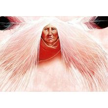 Fire Songs - Tree Free Greeting Card - 10103