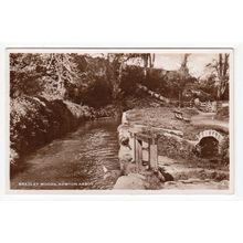 Bradley Woods Newton Abbot Postcard 1951 RP Devon