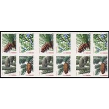 4481d, Die Cutting Omitted ERROR Pane of Evergreen Stamps - Stuart Katz