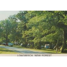 Longbeech New Forest Caravan Park Site Camping Hampshire 1970s Postcard