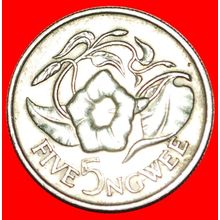 GREAT BRITAIN: ZAMBIA ★ 5 NGWEE 1968 FLOWER! LOW START★NO RESERVE