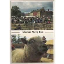 Masham Market Sheep Fair Postcard