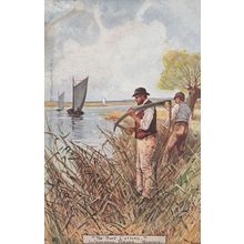 Reed Cutters at Wroxham Norfolk Boats Ship Old Postcard