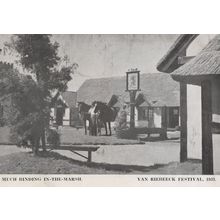 Much Binding In The Marsh Van Reibeeck Festival 1952 German Postcard