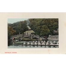 Gloucester Boat Rowing Race at Newnham Corner Old RPC Postcard