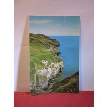 ELEPHANT ROCK, BOSSINEY COVE, TINTAGEL, CORNWALL .used postcard 1977 pm =