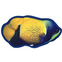 10" Tropical Damselfish