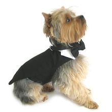 Black Dog Harness Tuxedo w/Tails, Bow Tie, and Cotton Collar Small