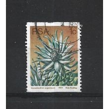 SouthAfrica.SG431 1c Leucadendron Argenteum.Fine Used.Sep25j