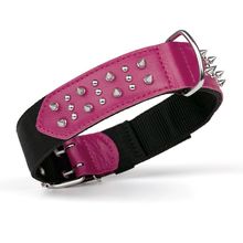 Dog Pet Leather/Nylon Collar With Spikes W 1" L 13"-16" - Pink