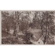 Chislehurst Common Vintage Postcard